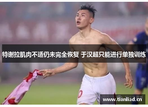 特谢拉肌肉不适仍未完全恢复 于汉超只能进行单独训练