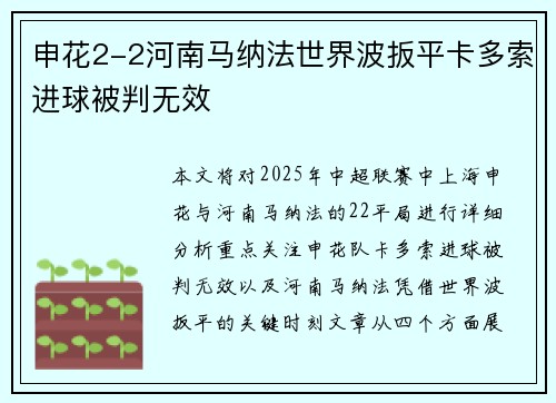 申花2-2河南马纳法世界波扳平卡多索进球被判无效